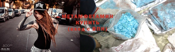 прущие грибы Тихвин