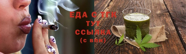 прущие грибы Тихвин