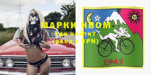 прущие грибы Тихвин