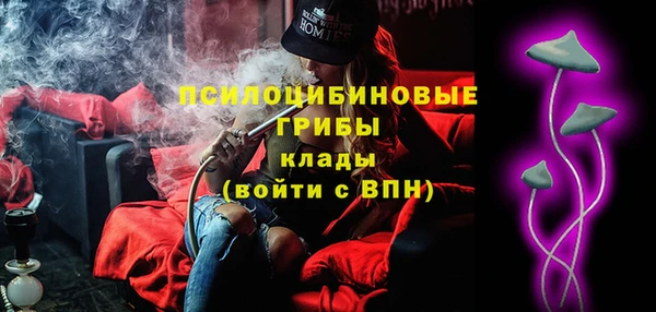 СК Инсар