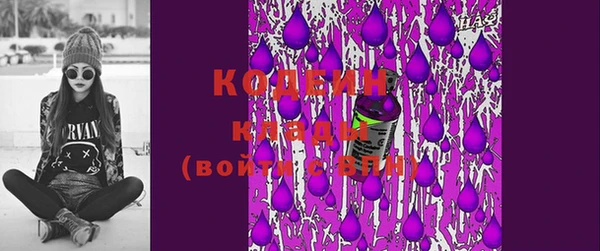 ПСИЛОЦИБИНОВЫЕ ГРИБЫ Инта