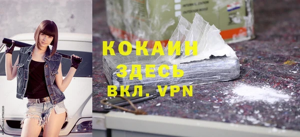 прущие грибы Тихвин