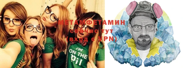 прущие грибы Тихвин