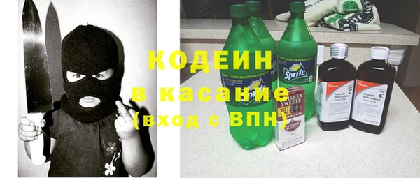 шишки Иннополис